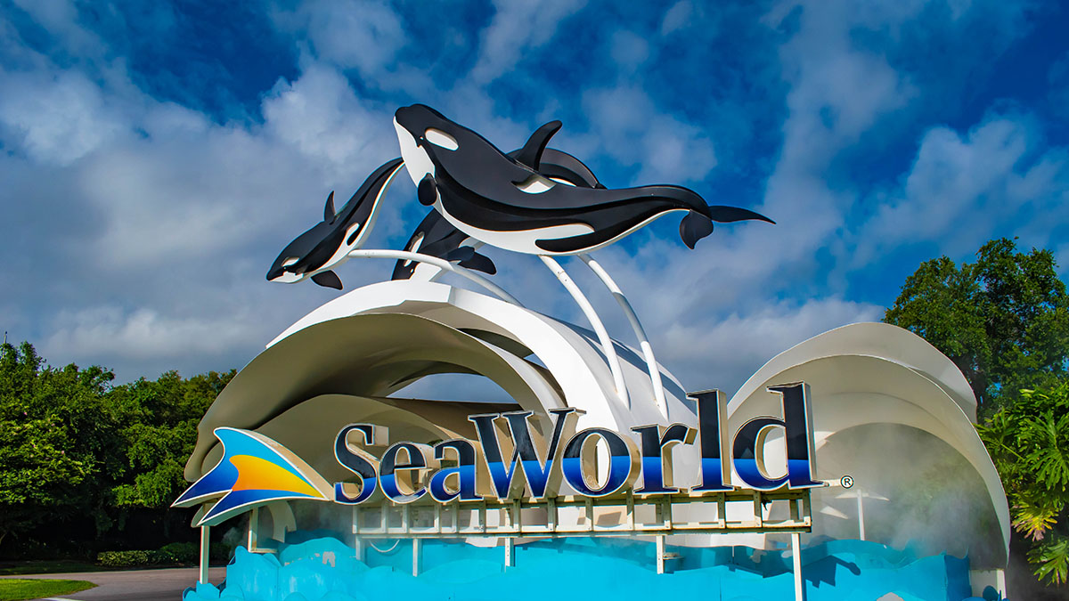 SeaWorld Offering Free Admission to Veterans NBC 7 San Diego