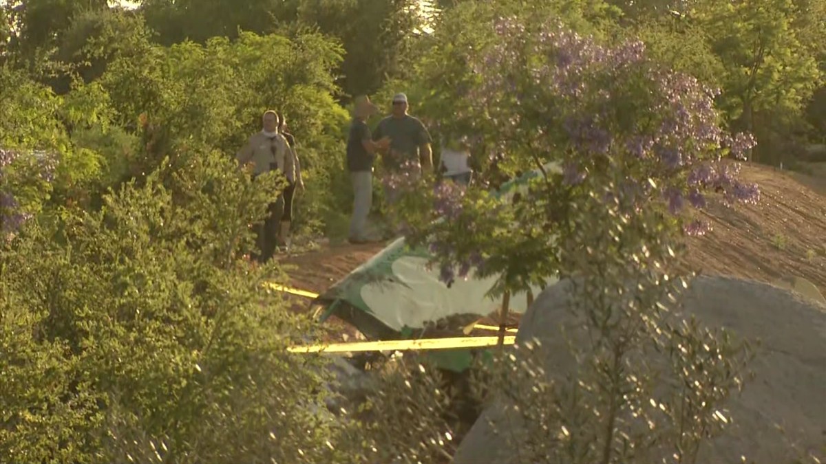 Small Plane Crashes Near Homes in Valley Center - NBC San Diego
