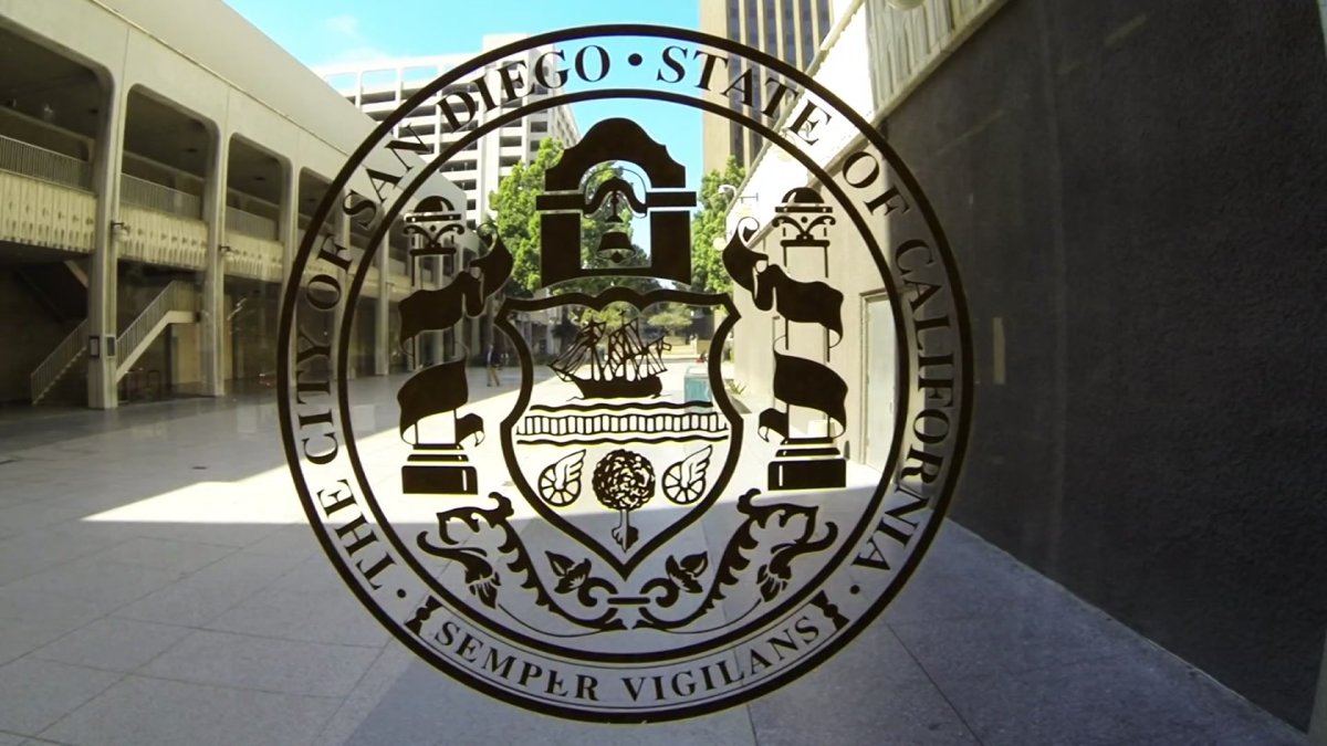 City Council Hires Expert,’ Expanding Ranks of City