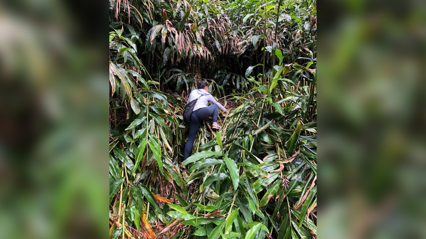 Montville_School_Administrators_Arrested.jpg