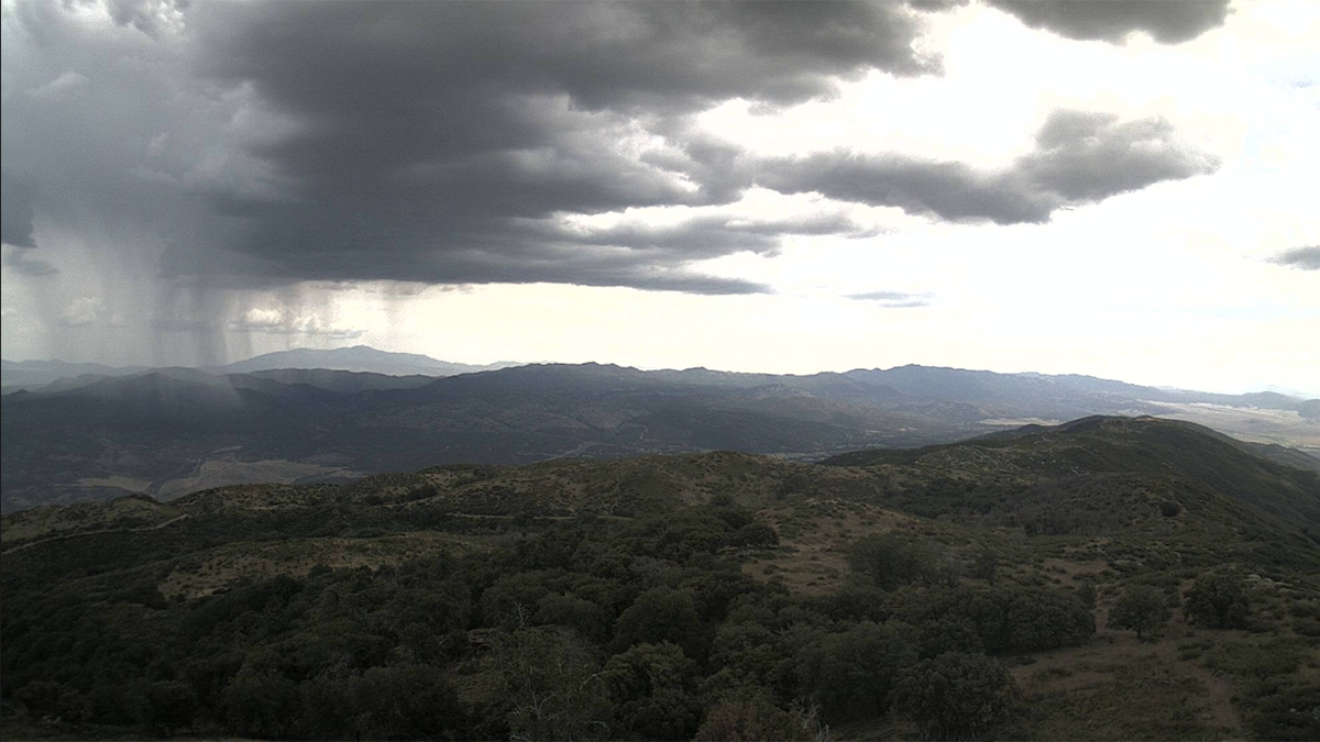 Severe Thunderstorm and Flash Flood Warning Issued for ...