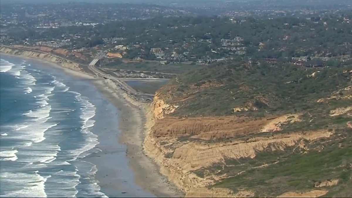 Shark Eating Dolphin Near Torrey Pines Caught on Camera – NBC 7 San Diego