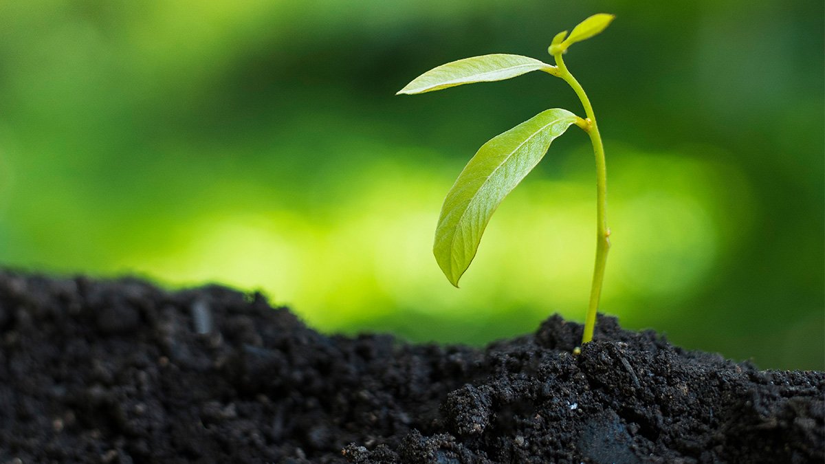 San Diego Foundation Grants $180,000 for 'Opportunity Youth' in Green Jobs – NBC 7 San Diego - Vimarsana News