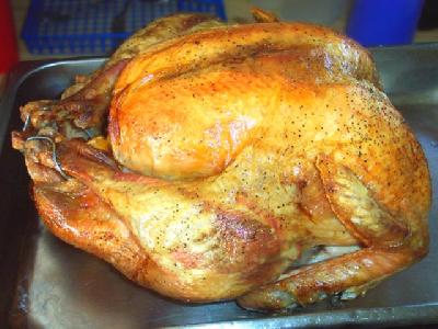 Turkey1