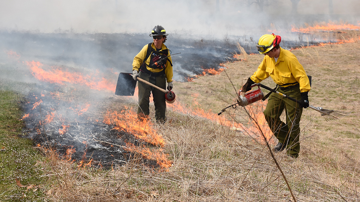 Environmentalists Say Prescribed Burning is Doing More Harm Than Good