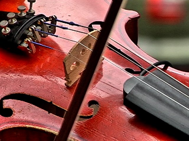 Violin Boy Playing