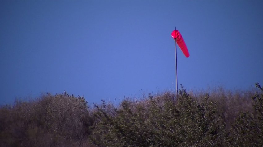 Grinch_Alert_Thieves_Take_Christmas_Decorations.jpg