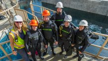 A First for the San Diego Zoo: Divers Training to Care For an Un