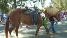 backwards boot horse scripps ranch 0704