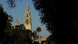 82222563SD013_Balboa_Park_S