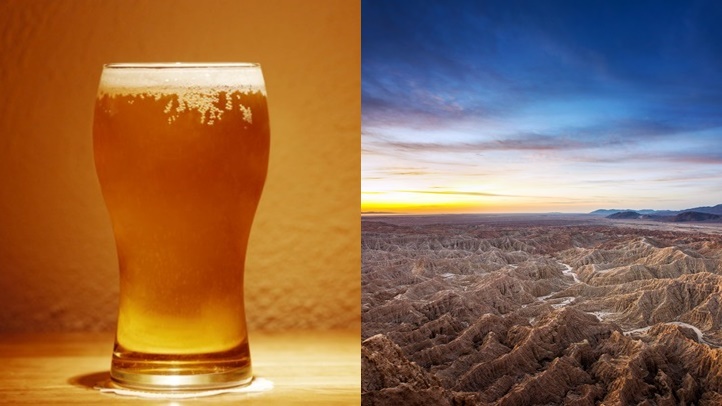 beerborregofundraiser