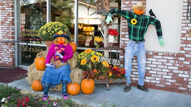 bigbear1Opt_419A2357454