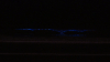 Natural Phenomenon Turns San Diego’s Waves Electric Blue