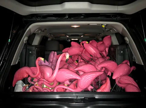 This flock of flamingos is ready to be taken to the next location to surprise the recipient.