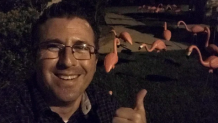 Graham Levine, who places the flamingos late at night so people can be surprised in the morning, poses next to his work.