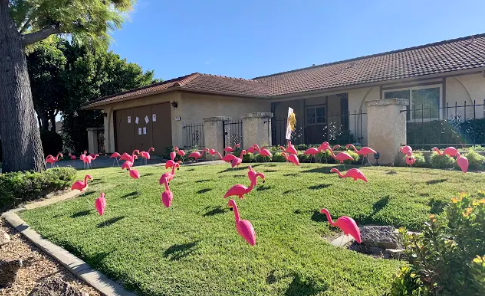 Tickled Pink Carlsbad Realtors Decorate Yards With Plastic