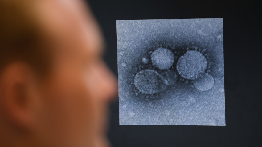 coronavirus