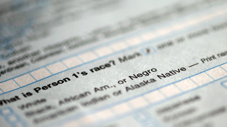 Census Negroes