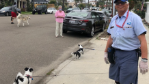 Several neighbors and their dogs stopped by for Starr's retirement send-off.