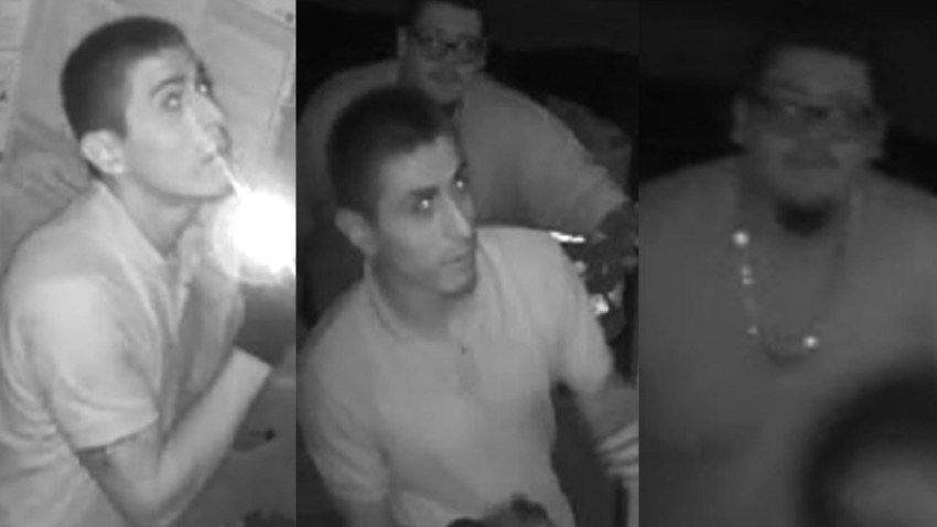 chula vista tool theives suspect 0506