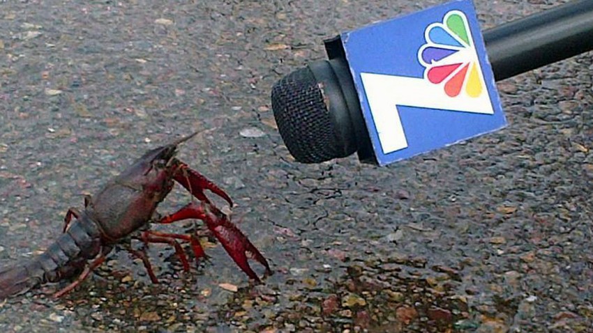crawfishinterview