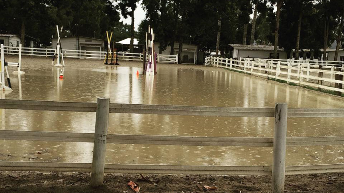 Show and Boarding Cancelations At Del Mar Horsepark Spark Fears It