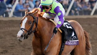 Triple Crown Nominations Horse Racing