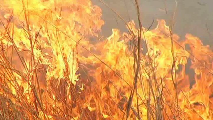 College Professor Charged With Setting California Wildfire – NBC 7 San Diego - Vimarsana News