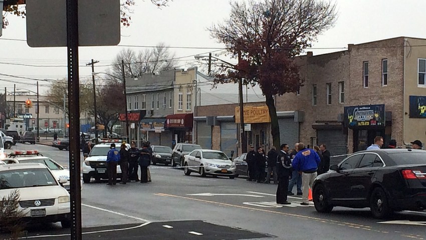 dog-attack-shooting-queens-1202