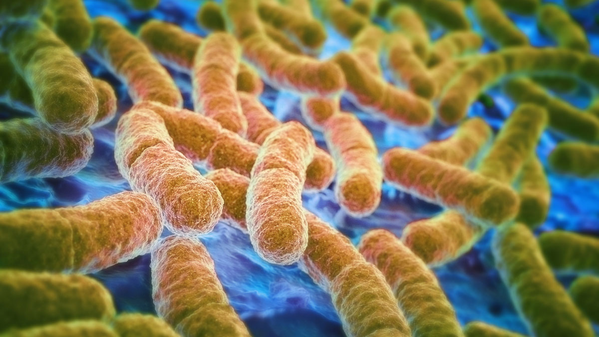 E. coli outbreak linked to The Kebab Shop California locations, including San Diego
