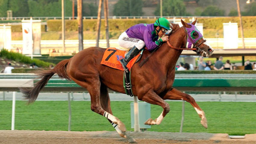 California Cup Derby Horse Race