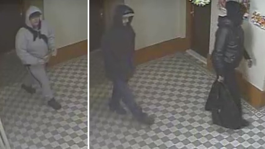elderly bronx robbery