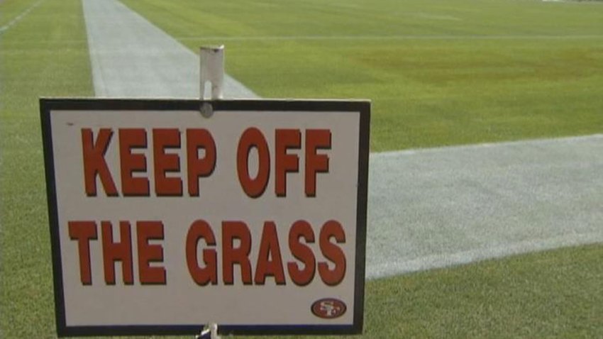 end-zone-levis-stadium