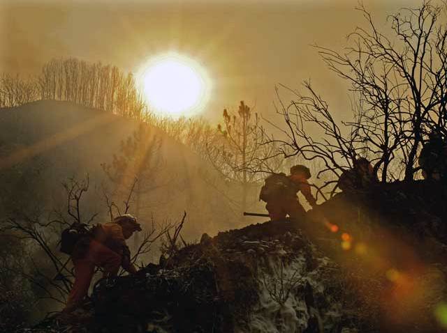 fire_jk_wildfire