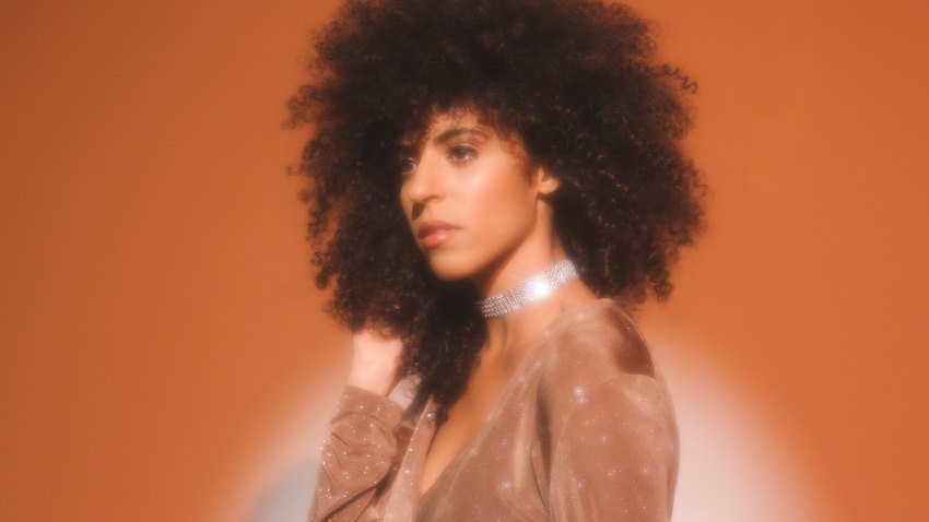 gavin turek