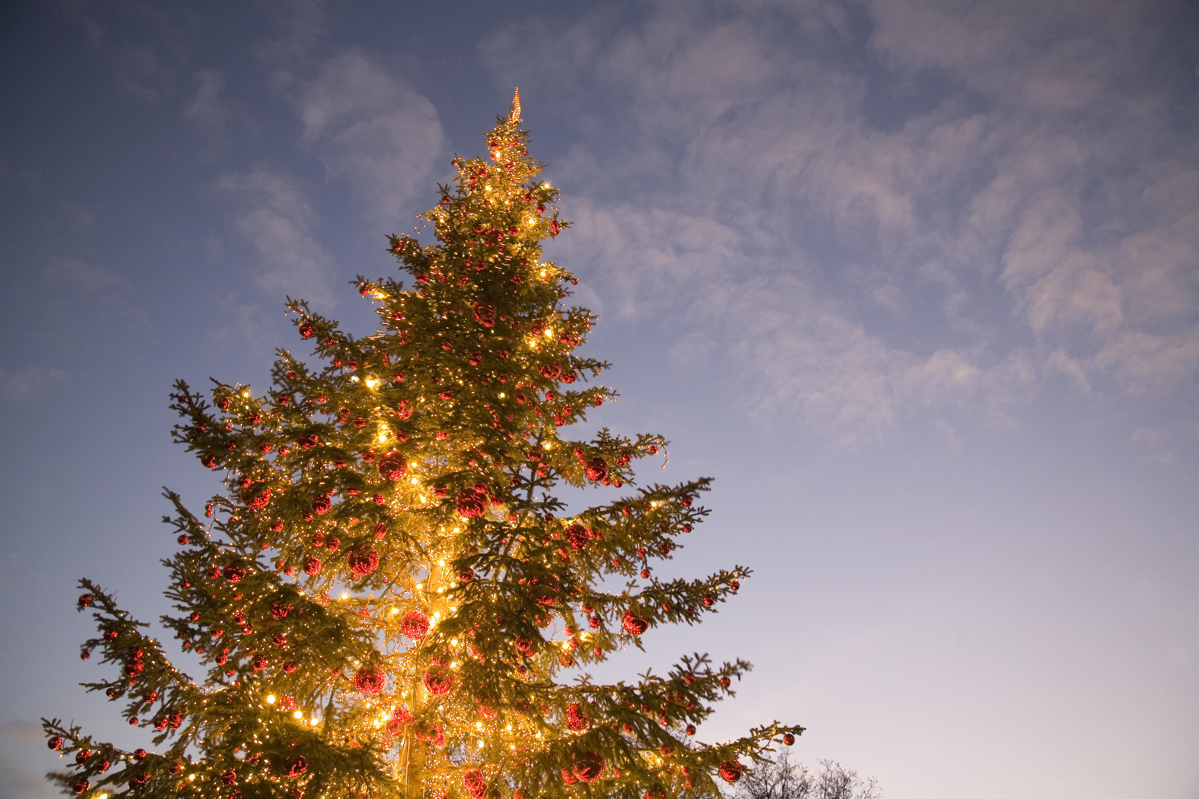 generic christmas tree lighting