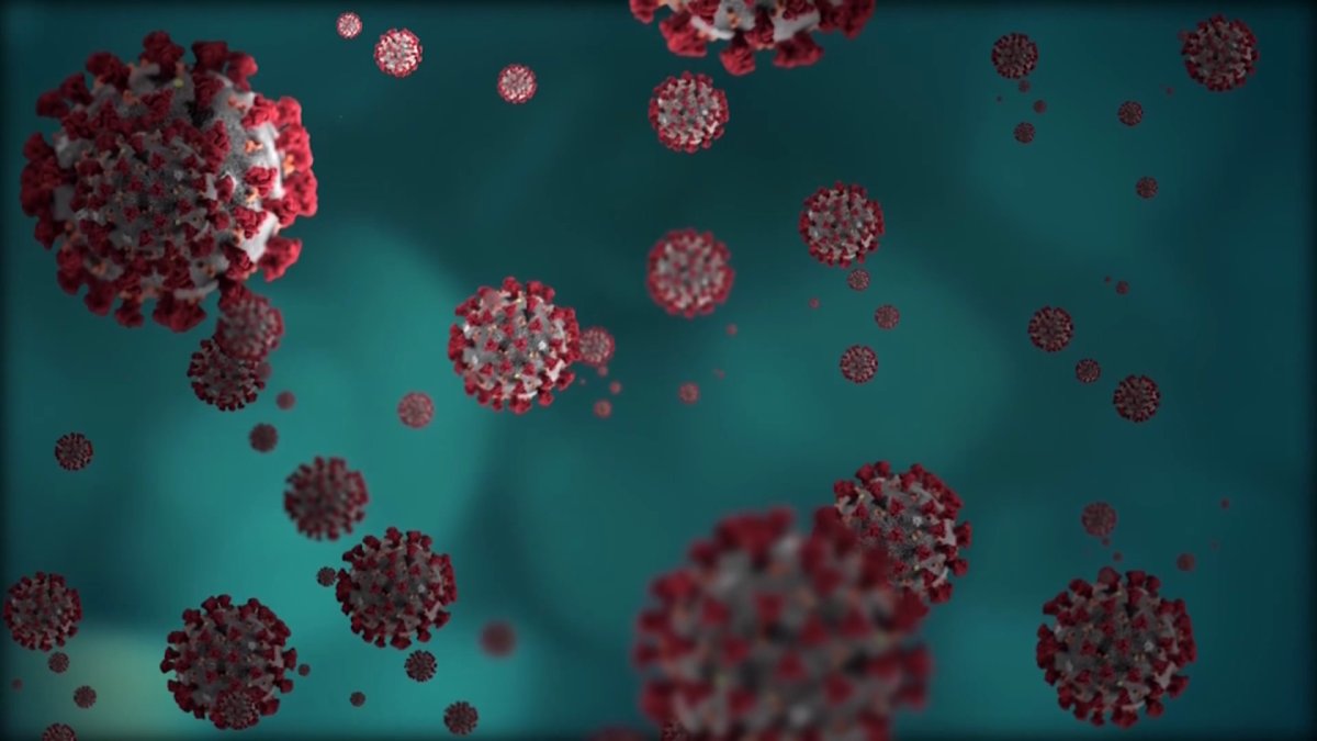 May 2020 A Month of Adaptation in San Diego County’s Fight Against