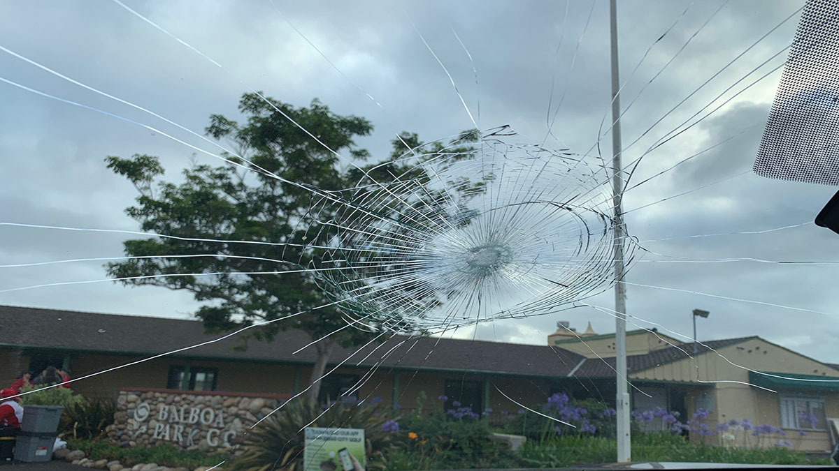 Woman Stuck With Bill After Errant Golf Ball Hits Windshield NBC 7