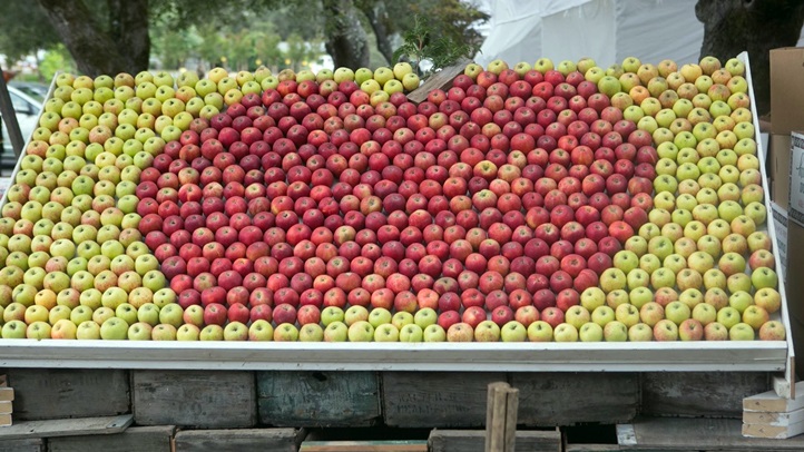 gravapplefair12345679