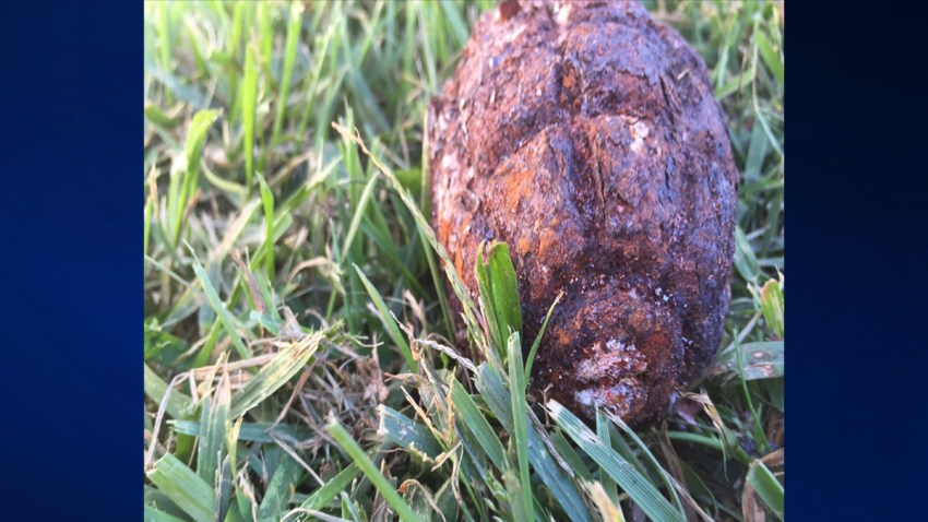grenade tredyffrin township