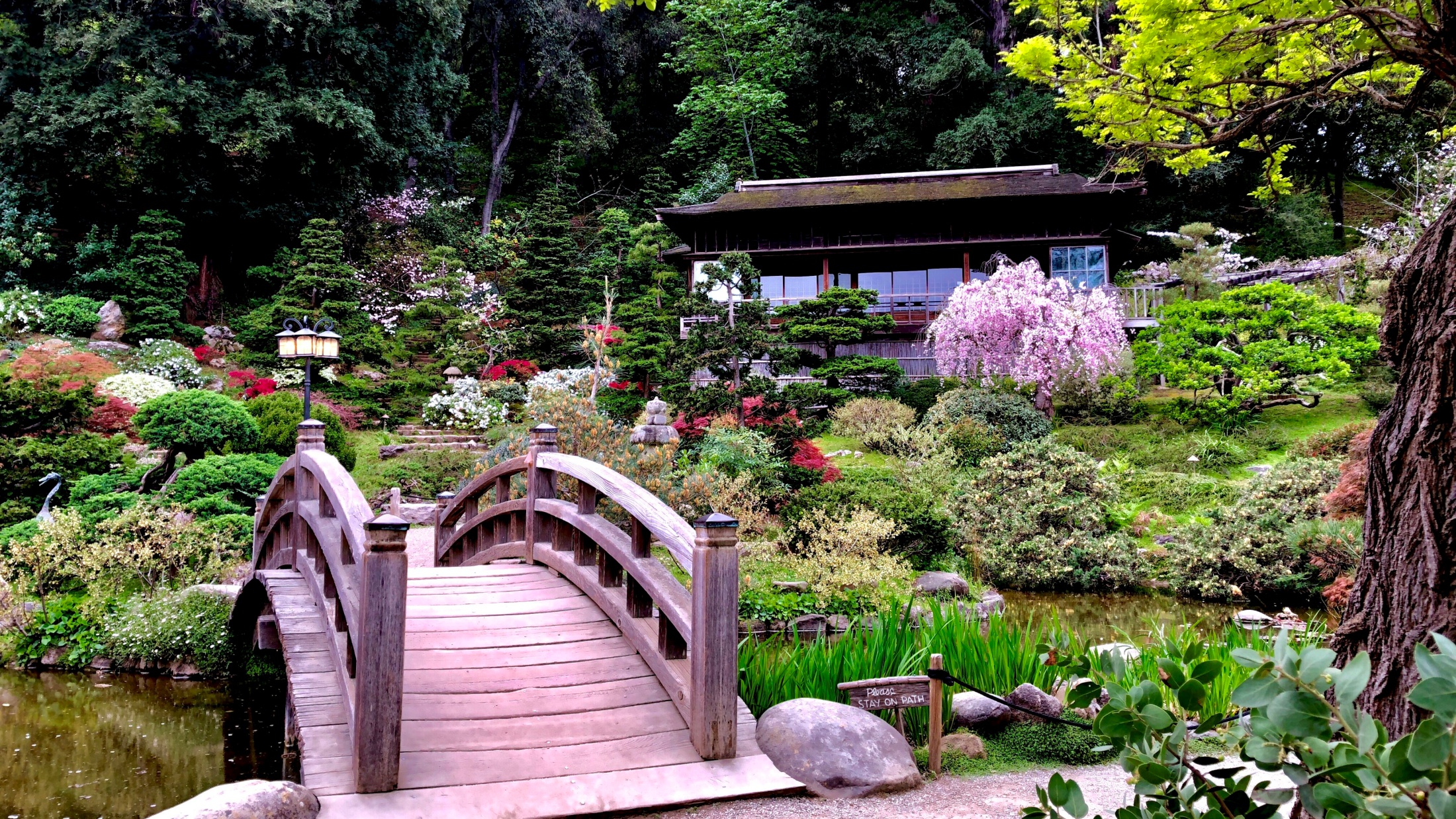 Hakone Estate & Gardens is "one of the oldest Japanese estate and gardens in the Western Hemisphere."