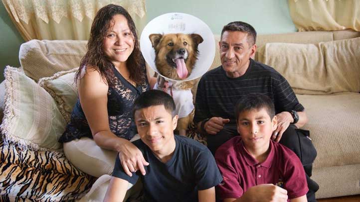 herodogfamilyFBcrop