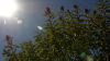 Dangerous heat to affect most of San Diego County this week