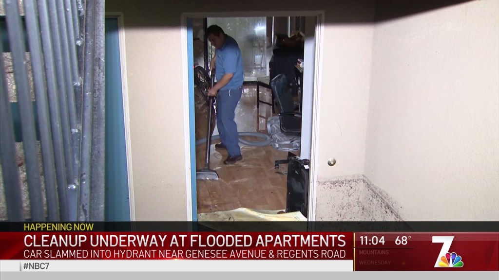 Https Www Nbcsandiego Com News Local Dgo Firefighters Rescue Man Stuck On Cliffs At La Jolla Cove 137210 Https Media Nbcsandiego Com 2019 09 Nbc 3x 1 Png Fit 1024 2c576 Firefighters Rescue Man Stuck On Cliffs At La Jolla Cove Firefighters