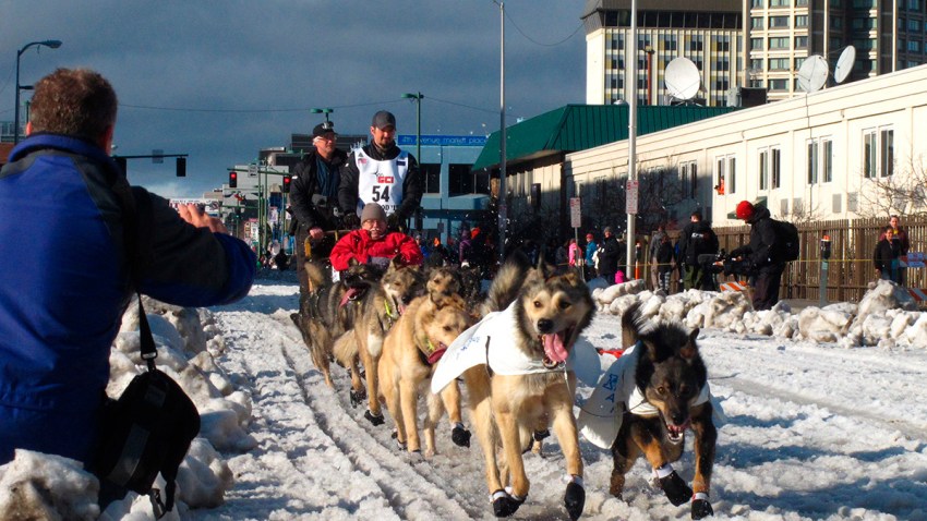Iditarod