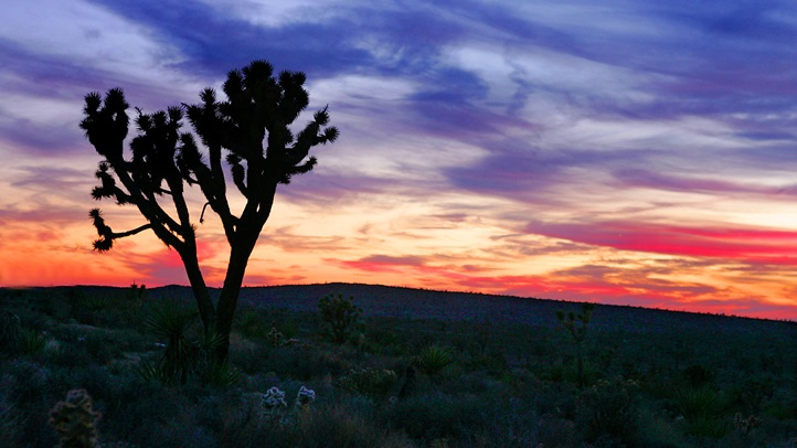 51551648CA002_joshua