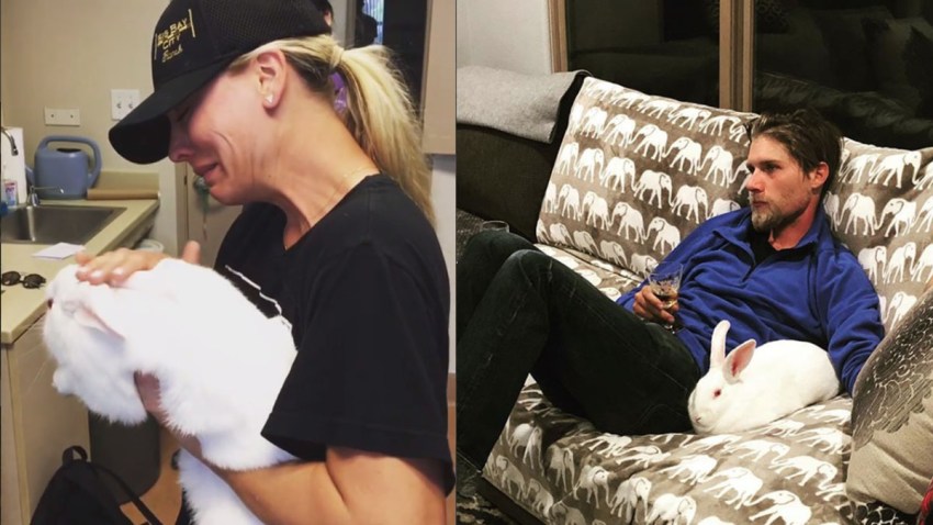 kaley couco adopted bunnies