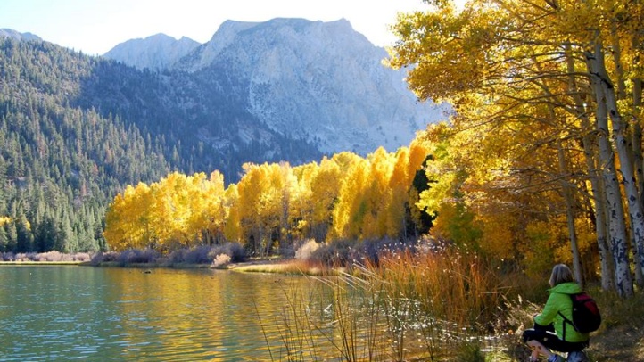 leavesLittle Walker Lake 10.20.14 (1)