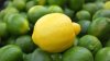 Citrus Disease Forces Fruit Quarantine for Residents in Rancho Bernardo