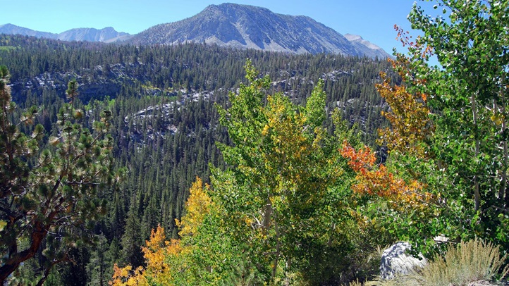 monocountyfallcolorsept